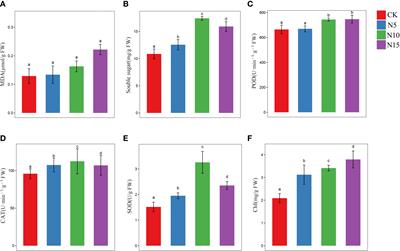 Physiology and transcriptome analysis of the response mechanism of Solidago canadensis to the nitrogen addition environment